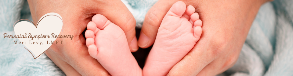 MERI LEVY, LMFT, PMH-C