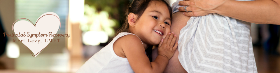 MERI LEVY, LMFT, PMH-C